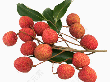 饱满红色荔枝