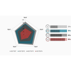 商务项目雷达图.