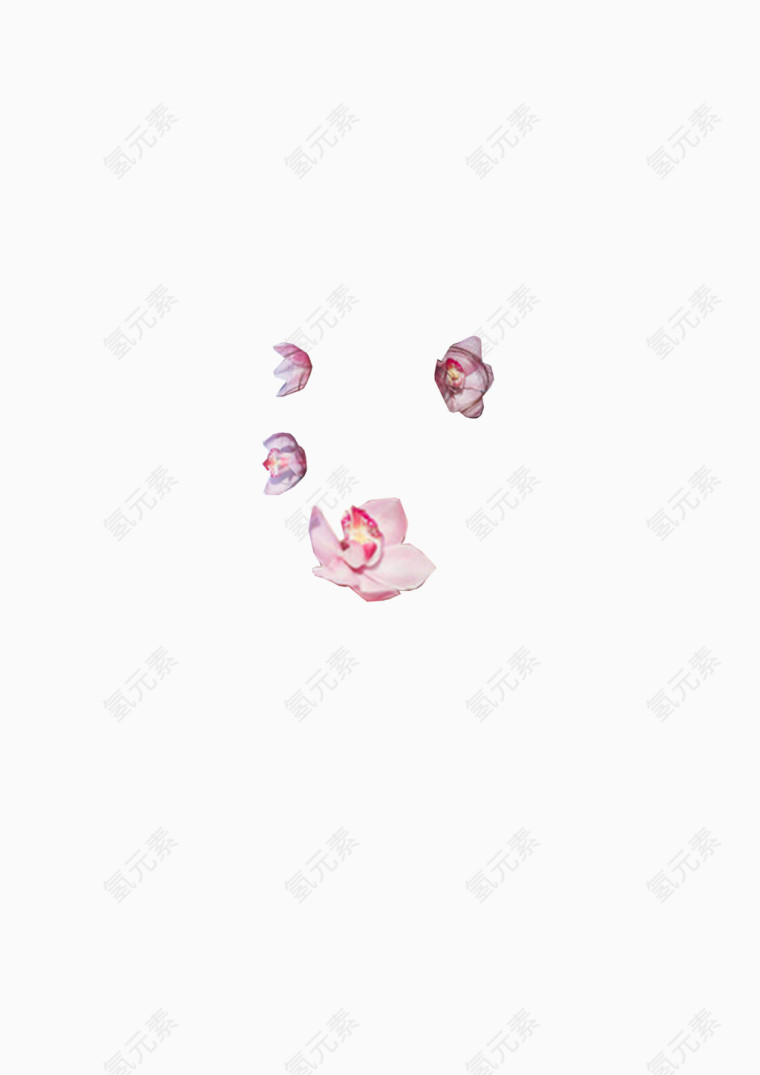 漂浮花瓣