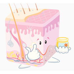 卡通皮肤组织形象