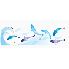 矢量海豚表演