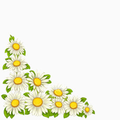 小雏菊花朵素材图片