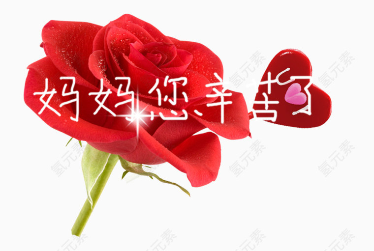 妈妈您辛苦了