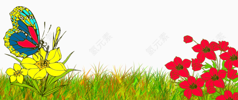 蝴蝶草丛