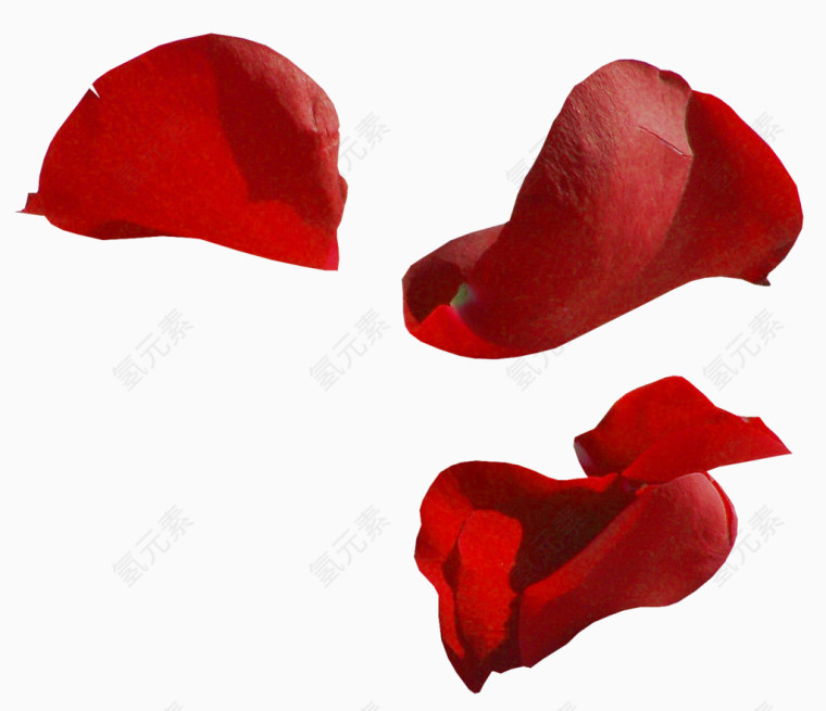 红色的花瓣