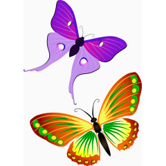 缤纷炫彩蝴蝶矢量唯美动物