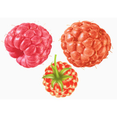 饱满多汁的覆盆子素材