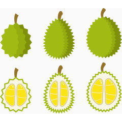 矢量图榴莲打开的样子