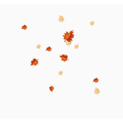 漂浮橙色树叶