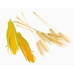 矢量玉米