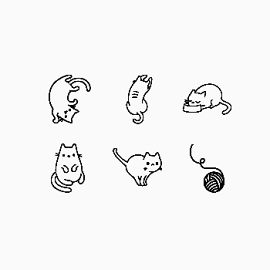 灵活的猫咪