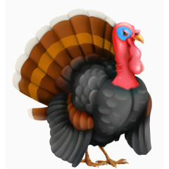 矢量火鸡素材卡通可爱动物