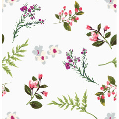 小清新植物装饰画素材矢量