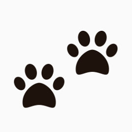 脚掌