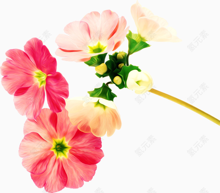 小花