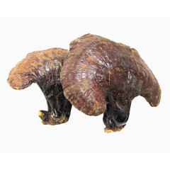 长白山野生灵芝