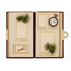 创意书籍里的植物