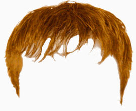 头发   假发   发型