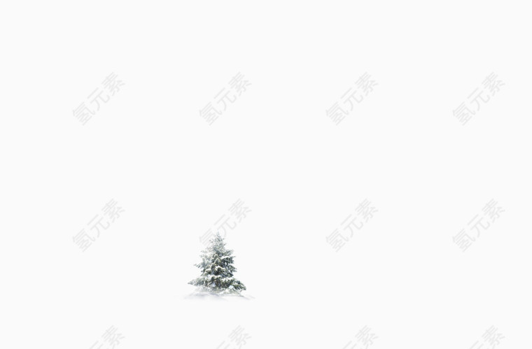 树