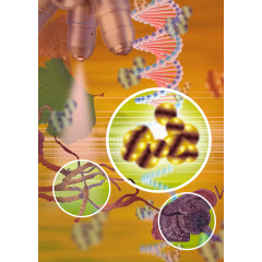 基因链显微镜人参科研