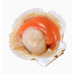夏威夷鲜冻半壳扇贝