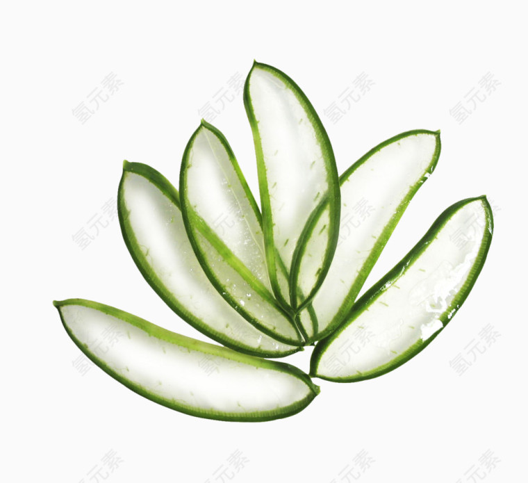 芦荟片