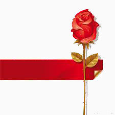 玫瑰花素材