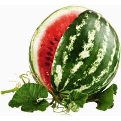 西瓜