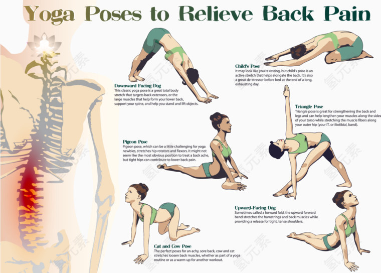 装饰缓解背痛瑜伽动作