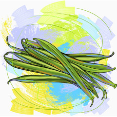 手绘矢量四季豆