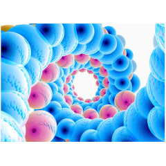 细胞分子效果图