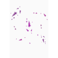 紫色羽毛装饰图