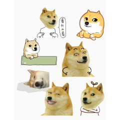 精神污染单身狗