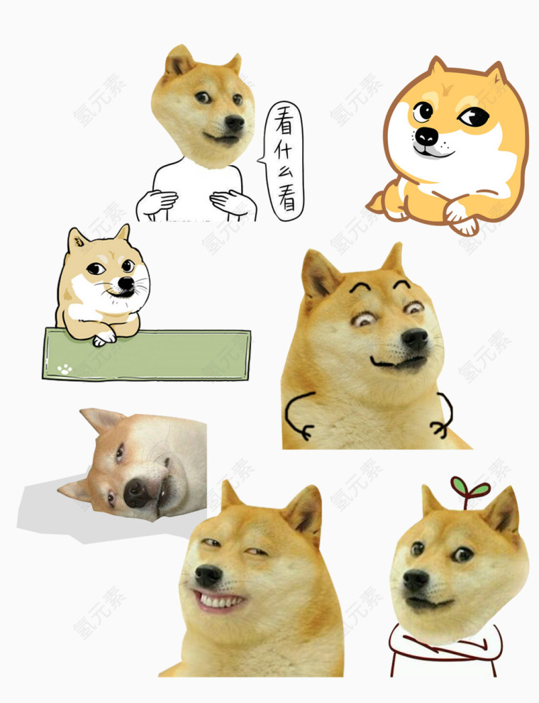 精神污染单身狗