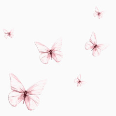 粉色蝴蝶装饰
