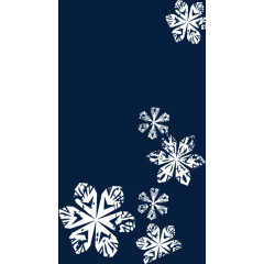 冬日雪花促销电商