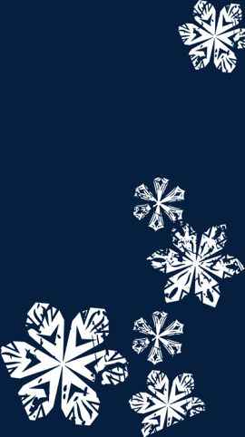 冬日雪花促销电商