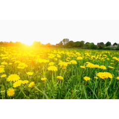 唯美山脉田野景色