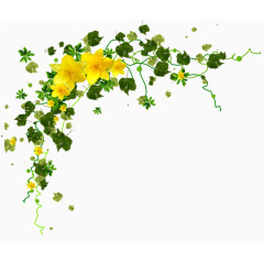 黄色花朵花瓣绿叶