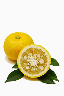 黄色橙子