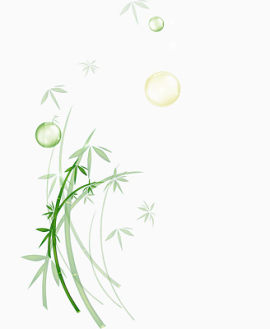 竹子 叶子 绿色 影子 水珠