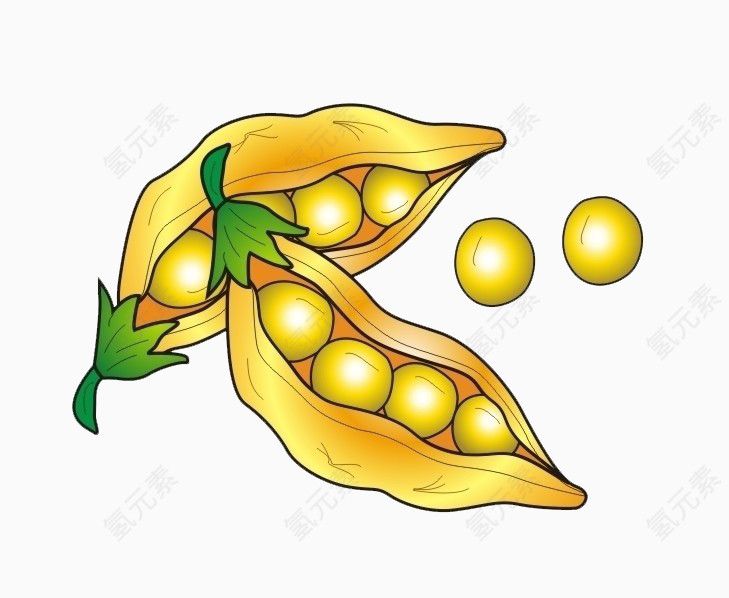 卡通黄色的黄豆