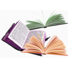 字典圣经厚书本