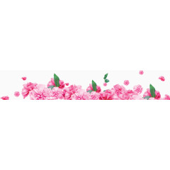 花，粉色花，粉色，淘宝素材