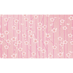 日式小清新纹理