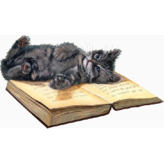 手绘猫咪与书籍素材免抠