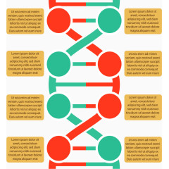 双螺旋分子结构