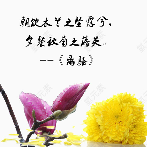 端午节经典楚辞古典诗词传统文化