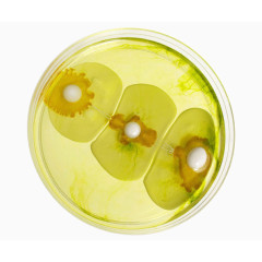 黄色盘子里的视觉艺术