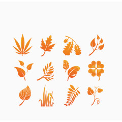 矢量橘色枫叶树叶装饰集合